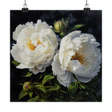 White Peonies Flower Art Print, White Flower Painting, Flower DŽcor 16 Peony
