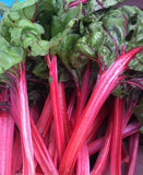 50+Organic Red Swiss Chard Seeds Rhubarb Perpetual Spinach Garden Fresh USA Garden Plants
