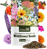 Wildflower Seeds Hummingbird and Butterfly Mix 1 Ounce, No Filler, 24 Varieties Garden Plants