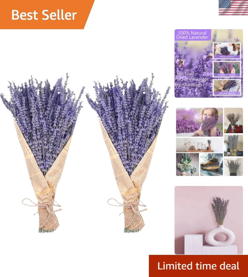 Natural dried lavender flower bundles, tied stems, purple buds, set of two bunches
