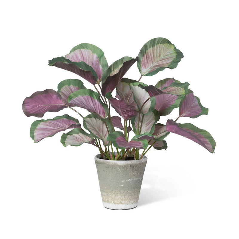 Calathea Plant Potted Artificial Decorative Home Decor Pink & Green Green Plant