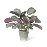 Calathea Plant Potted Artificial Decorative Home Decor Pink & Green Green Plant