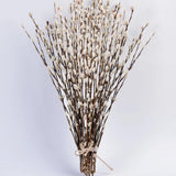 45 Stems 17_Real Dried Pussy Willow Branches for Vase_100% Natural PussyWillows Dried Flower