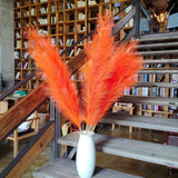 Faux Orange Pampas Grass Decor Tall, 8pcs 43.3" Large Pompas Floral, Fluffy A... Pampas Grass