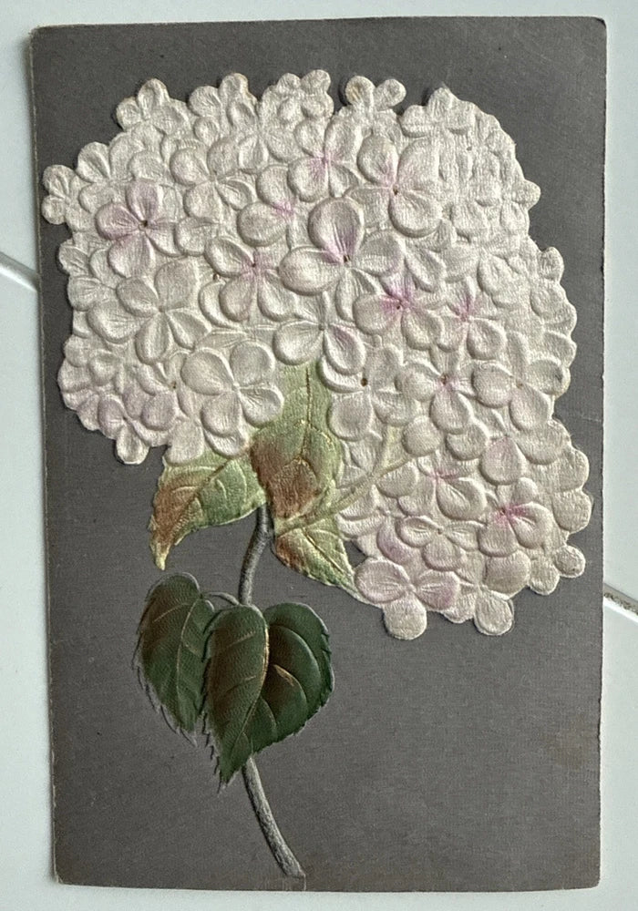 Silk Hydrangea Leaves Art Postcard Antique Hydrangea