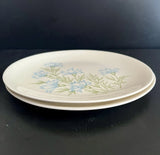 Vintage Town House Ironstone 2pc Blue Carnation 10