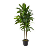 Nearly Natural 43" Dracaena Silk Plant Real Touch in Green/Black Green Plant