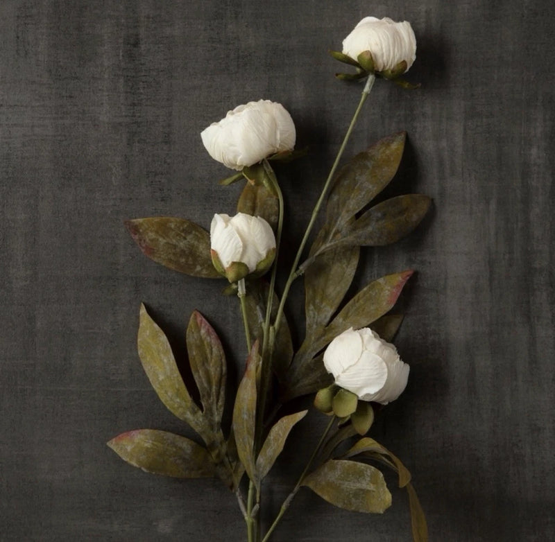 8 Viral Ashland Michael's Cream Peony Stems ¥ Set of 8  Peony Peony