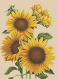 Sunflowers Counted Cross Stitch Chart No.6-462 Sunflower