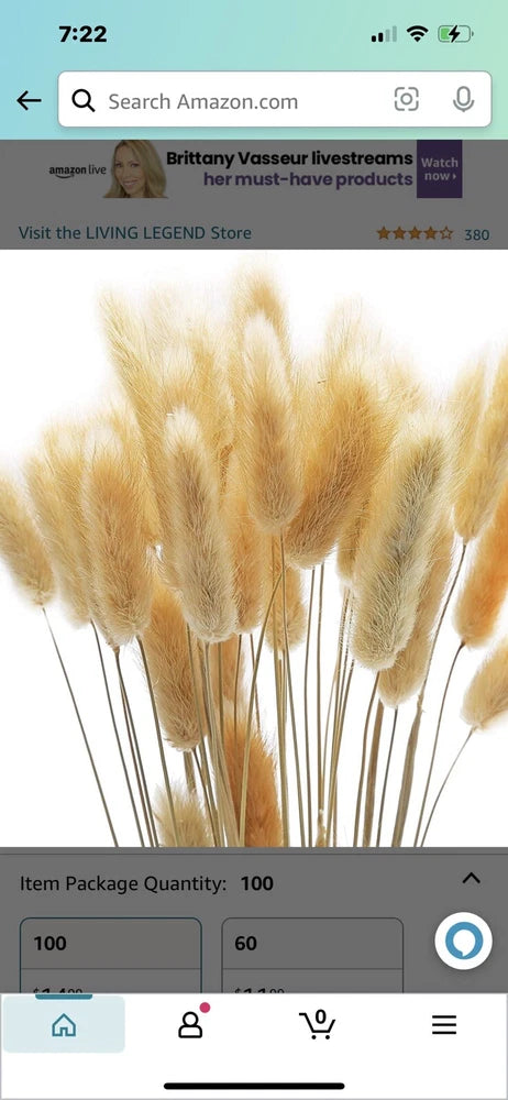 Natural dried flower stems with soft beige plumes