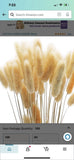 Living Legend Exotic Natural Dried Flowers (:) Dried Flower