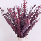 16 Pcs Dried Fall Eucalyptus Stems Red, Christmas Burgundy Dried Flowers for ... Dried Flower