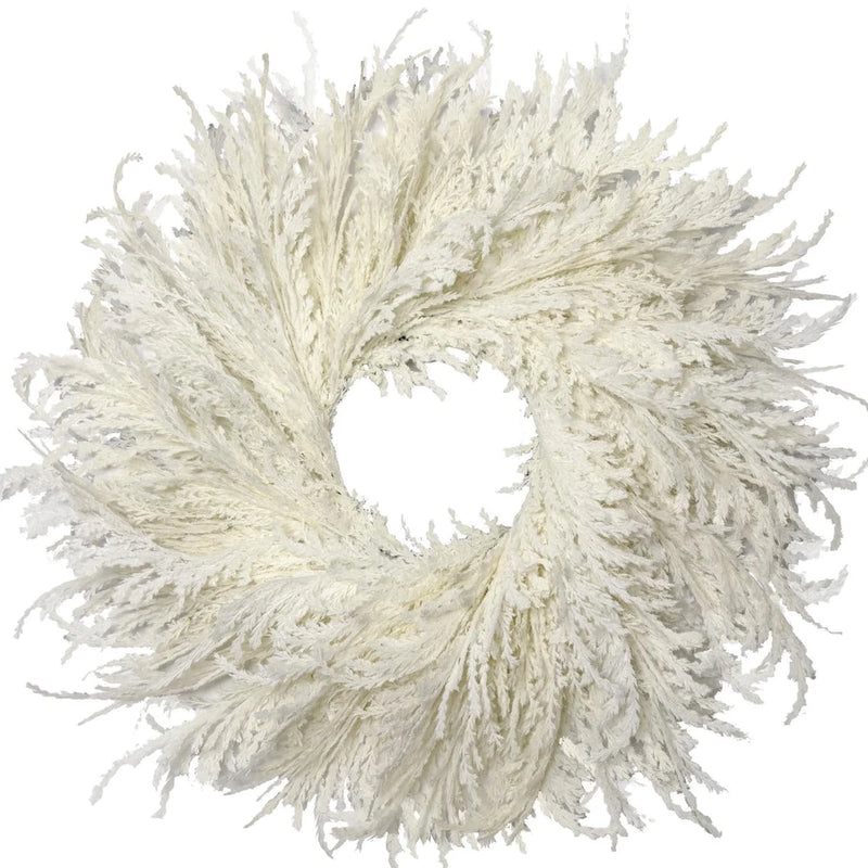 28 Inch Spring Boho White Flocked Cypress Wreath Outdoor,Neutral Pampas Grass... Pampas Grass