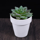 10 Pcs Garden Flower Pot White Terracotta Pots Small Plant Succulent Plants Garden Plants