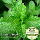Heirloom Peppermint Seeds | Non-GMO Herb Garden Perennial Seeds from USA Garden Plants