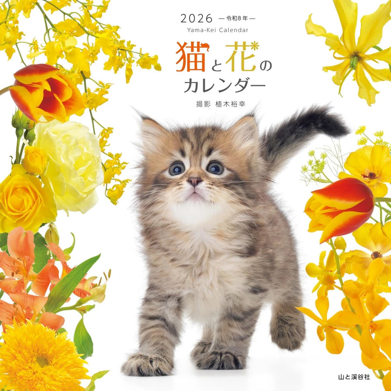 Calendar 2026 Cat and Flower Calendar Monthly/Wall Hanging Ranunculus