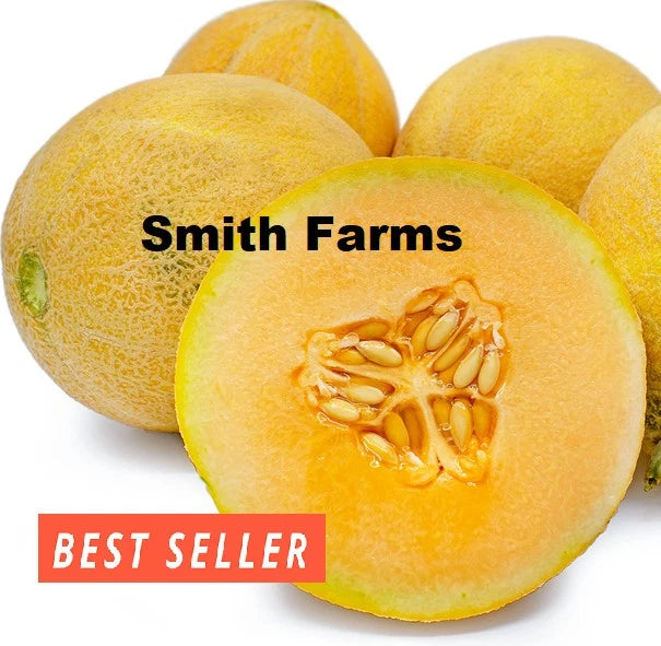 10+ Seeds Sugar Queen Melon Cantaloupe Easy Vegetable Garden Planting Edible Garden Plants