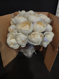 Avon Valentine's Day Fiber Optic Bouquet Flowers White Ranunculus (lot 2553j) Ranunculus