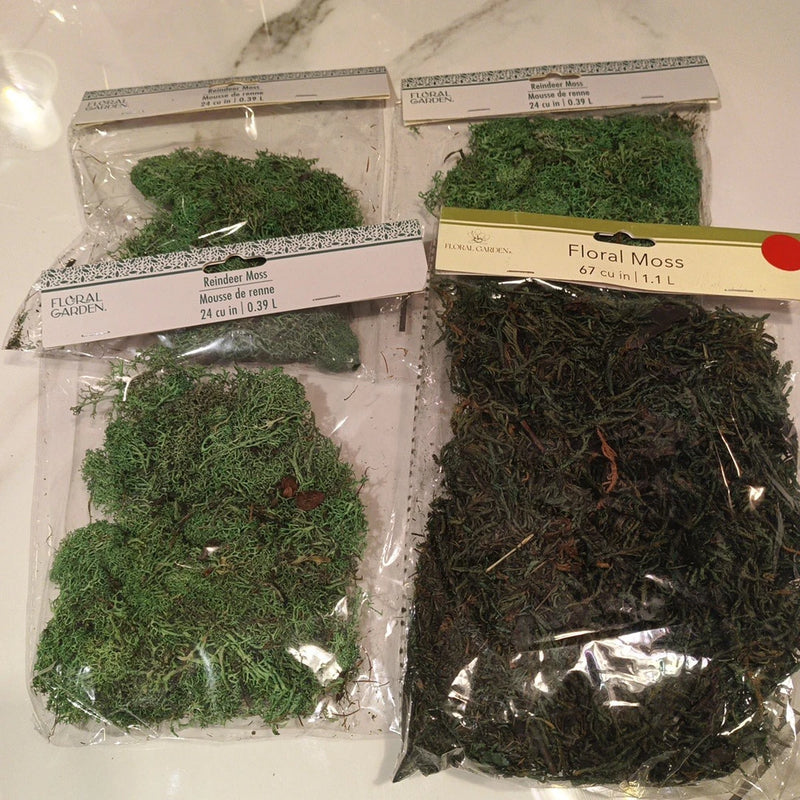 Dried green moss assortment in clear plastic bags