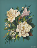 Vintage Floral Print White Roses Lilies m de longe 8x10 Teal Background Lily
