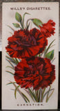 1910 W.D. & H.O. Wills Old English Garden Flowers #27 Carnation VG/EX Carnation