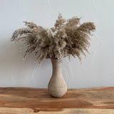 Pampas Grass, Dried Floral Dðcor White 27.5" Pampas Grass
