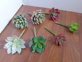 Artificial Succulent Plants Set of 7 Home Wedding Decoration Green Plant