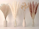 Dried Pampas Grass Decor, 70 PCS Pampas Grass Contains Bunny Tails Dried Flowers Dried Flower
