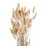 60pcs Natural Bunny Tails Dried Flowers 24" Mini Pampas Grass, Beige Dried Flower