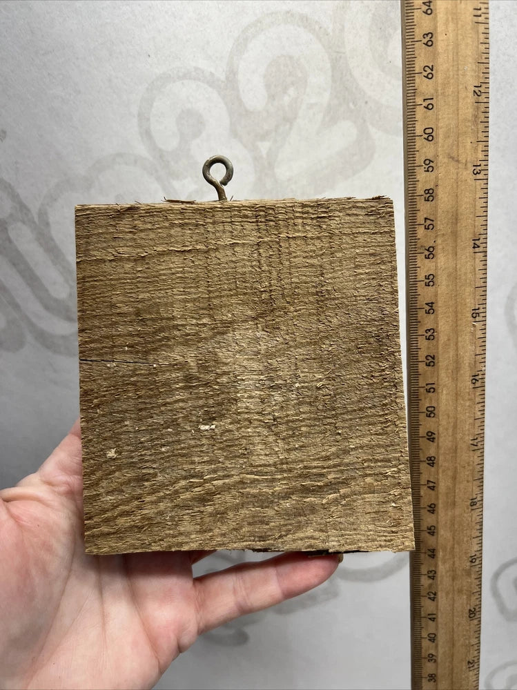 4 Ancient Sinker Cypress Mounts For Orchids With ID Tags S6 Orchids