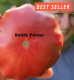 50+ Seeds King-size Tomato Vegetable Garden Planting Tomatoes Garden Plants