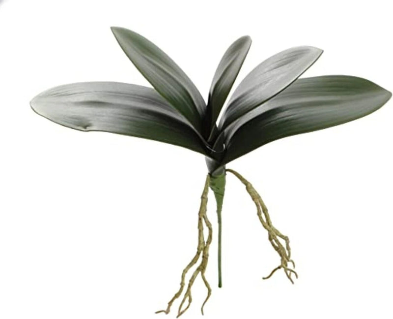 Artificial Phalaenopsis Orchid Foliage Picks Event/Party Decor 14In 12-Pack Green Plant
