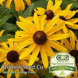 500+ Black Eyed Susan Flower Seeds | Non-GMO Garden Flower Seeds Garden Plants