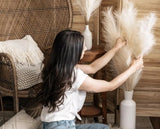 Large Pampas Grass/Pompas, 3pcs Pampas Grass Decor, 60cm Pink Color Pampas Grass