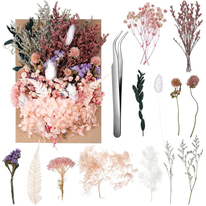 Real Dried Flowers, Natural Dry Flowers Mixed Pressed Multicolor 2 Dried Flower