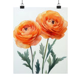 Boho Peach Ranunculus Flower Art Print Poster, Minimalist Floral Wall Art 4 Ranunculus