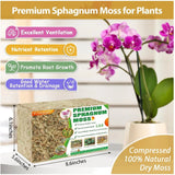 Compressed sphagnum moss for plants, 2.2 lb block in retail bag (Legigo)