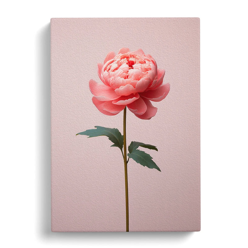 Framed canvas wall art with a single pink peony flower and green leaves