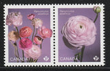 RANUNCULUS, Flowers, Pair from Souvenir Sheet, Canada 2023 #3372i Ranunculus