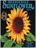 Decoration Poster.Interior design.Orangedale Sunflower flower art.6988 Sunflower
