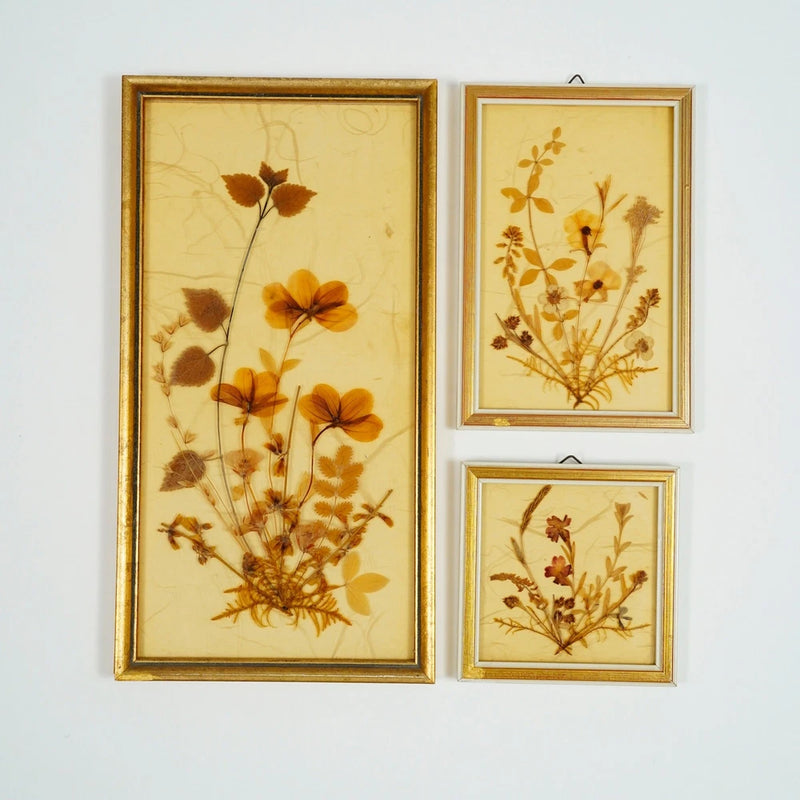 Vintage pressed dried flower art set of 3 in gold frames, botanical arrangements