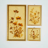 Vintage DINA Pressed Dried Flower Art Set of 3 Gold Frames West Germany Boho Dried Flower
