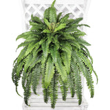 Large Artificial Boston Fern 68" Fake Ferns Silk Artificial Plants for Outdoo... Green Plant