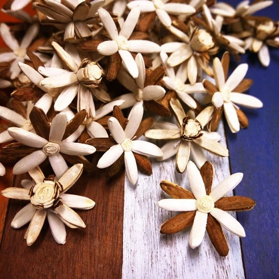 60 Rangoon-Creeper Sola Wood Flower Diffuser Flowers 4.5 cm Dia. For Craft Carnation