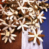 60 Rangoon-Creeper Sola Wood Flower Diffuser Flowers 4.5 cm Dia. For Craft Carnation