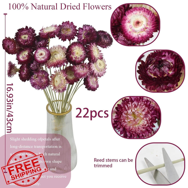 CITYES 22 Pcs Dried Daisy Sunflower Flowers Bouquet Vase Decor DIY Sunflower