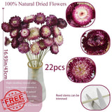 CITYES 22 Pcs Dried Daisy Sunflower Flowers Bouquet Vase Decor DIY Sunflower