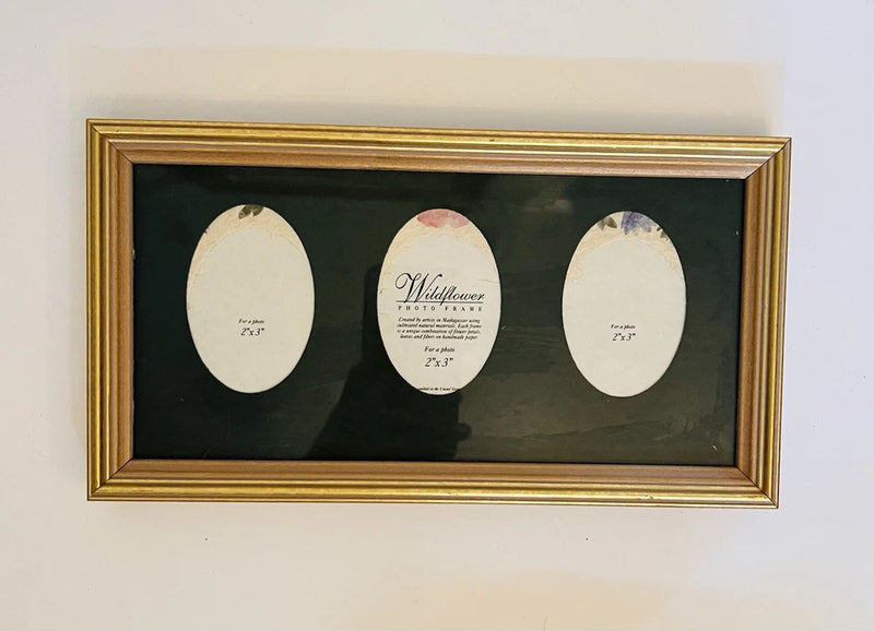 Framed pressed dried flower art with three oval blooms in a gold wood frame