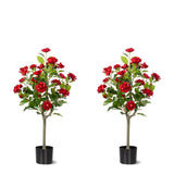 Hylmiip Artificial Camellia Tree 2 Pack, Plants Outdoor 3FT, Red Green Plant