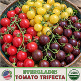 __ 30 Everglades Tomato Trifecta Seeds (10 Pink, 10 Yellow, & 10 Black) Garden Plants